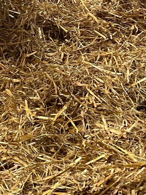 Header of sebbytwink