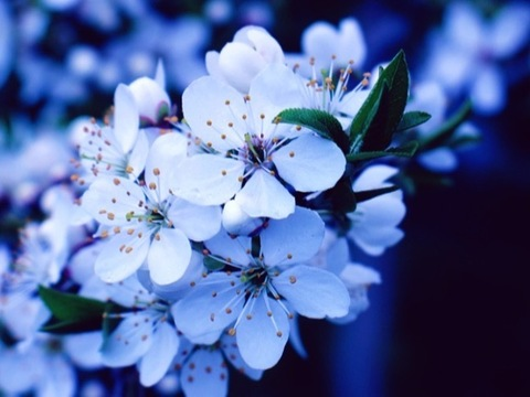 Header of sexisoles_xo