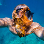 Onlyfans leaked shangerdanger 

 profile picture