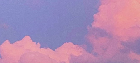 Header of sincerelymissrose