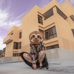 Sinful Sloth Slut (she/her) (@sinfulslothslut) Leaked OnlyFans 

 profile picture