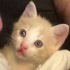 Onlyfans leak skinnybonestwink 

 profile picture