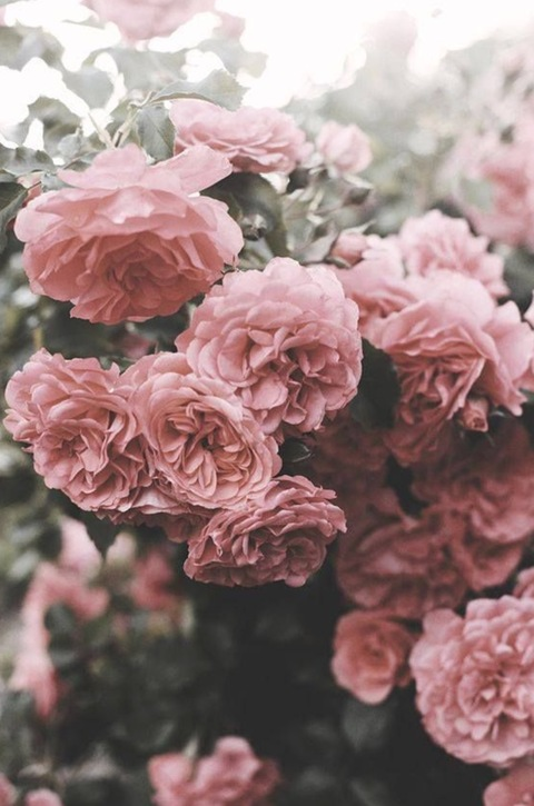 Header of skylerlo__