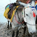 solano (u9366069) free OnlyFans Leaked Pictures & Videos 

 profile picture