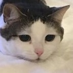 solpi OnlyFans Leaked 

 profile picture