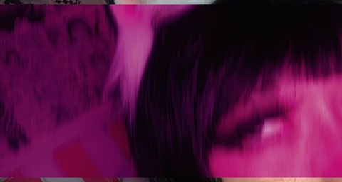 Header of somibear