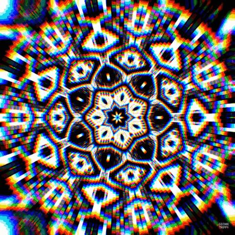 Header of sophiaharker