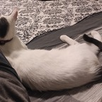 SouthernMale (@southern40male) Leak OnlyFans 

 profile picture