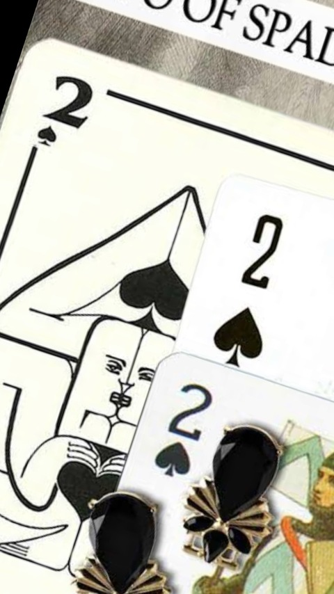 Header of spytwochick