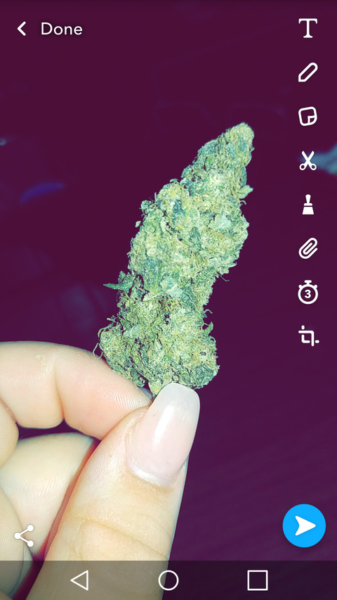 Header of stonedgrace
