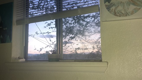 Header of stonerdude97