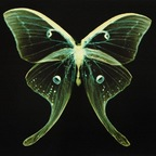 stvbbxrn (babygirl) OnlyFans content 

 profile picture