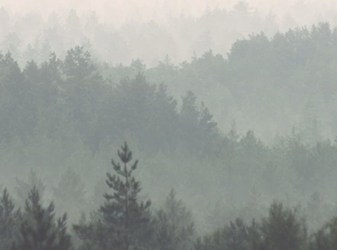 Header of sunnynorthwest