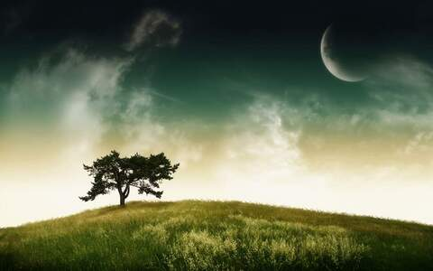 Header of swadetv