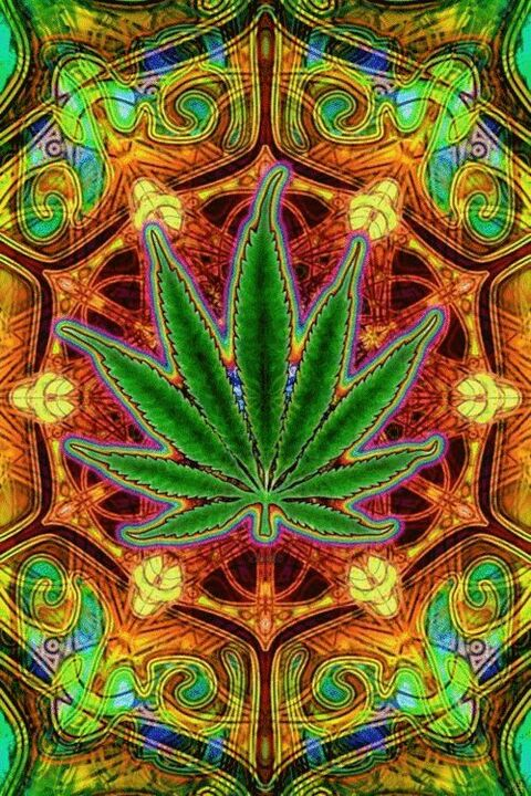 Header of sweetothekor420