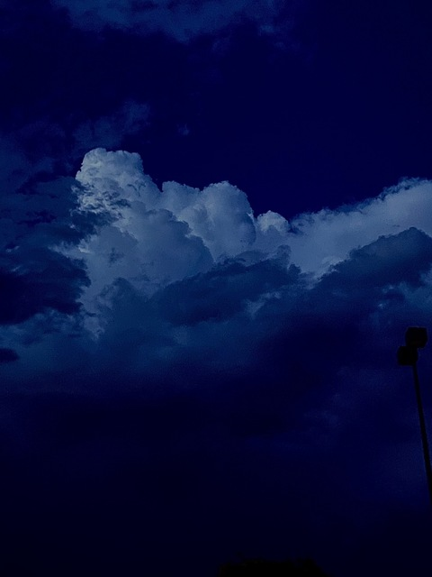 Header of tessaodessa