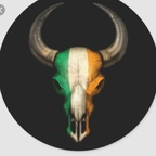 Onlyfans leaked the_irishbull 

 profile picture
