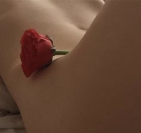 Header of thedivinefemenina