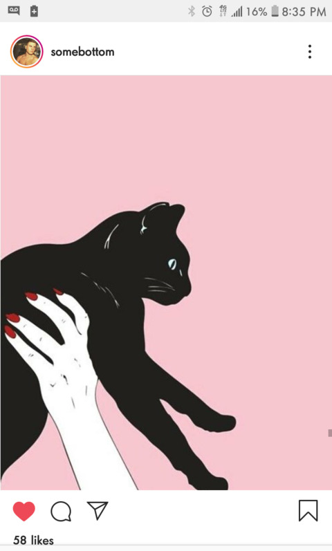 Header of thegildedkiwi