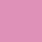 thepinkprincess (P) OnlyFans Leaked Content 

 profile picture