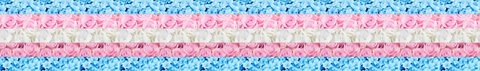 Header of therobinrose