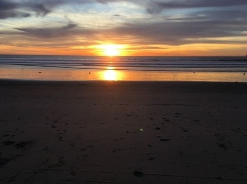 Header of thisshitisbussin