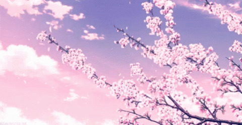 Header of thomashalbert
