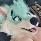 thylasaur OnlyFans Leaked Photos and Videos 

 profile picture