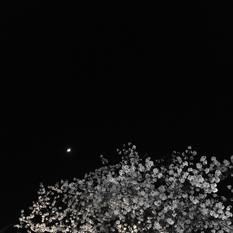 Header of tokyoinn