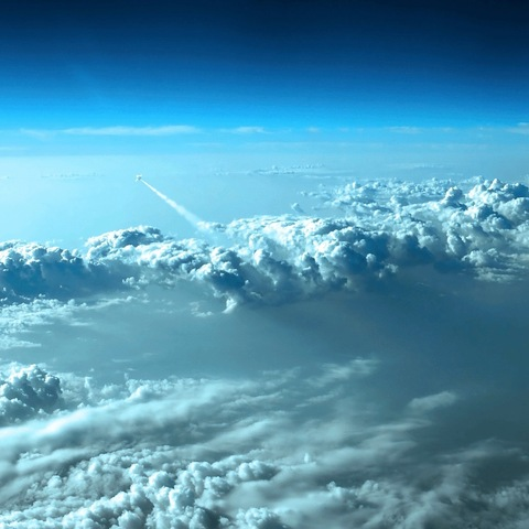 Header of tony_yo