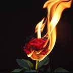 𝐵𝑢𝑙𝑙𝑒𝑡 𝑡𝑜 𝑚𝑦 𝑅𝑜𝑠𝑒 (tripleeightbby) Leak OnlyFans 

 profile picture