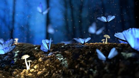 Header of trixiefae21