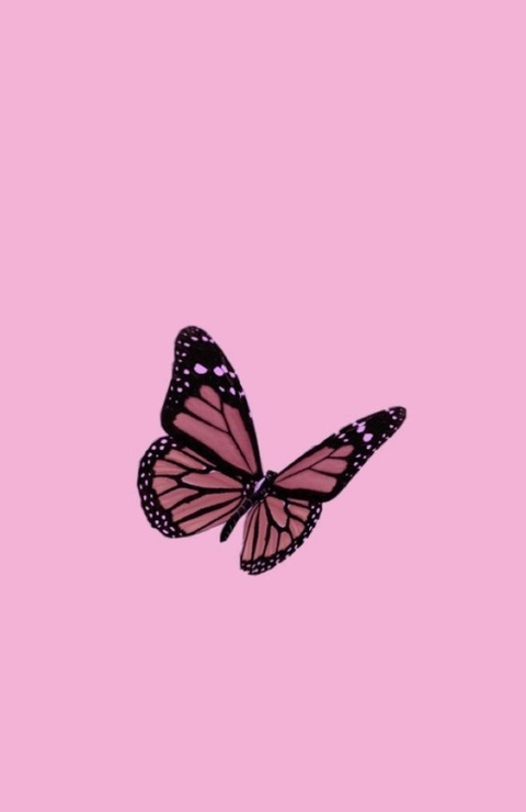 Header of u188103155