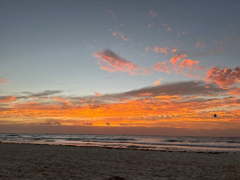 Header of u212677902