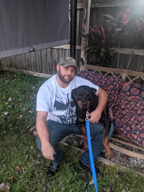 Header of u228568645