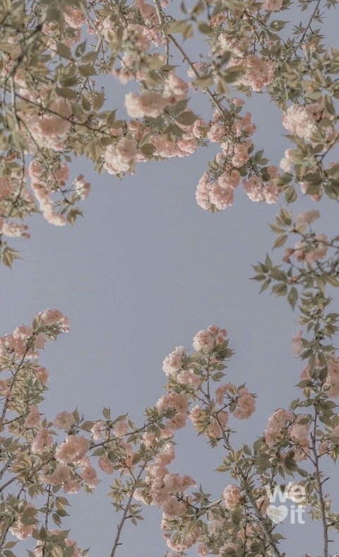Header of unsawy