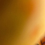 urgirllumy (Lumy Lynn👽) free OnlyFans content 

 profile picture