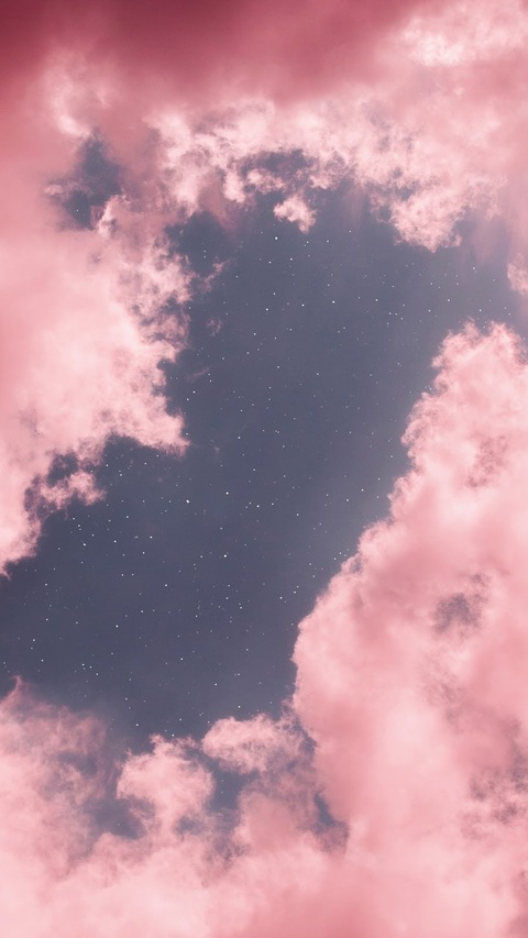 Header of vannakins