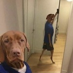 vava974 (Vava) OF Leaked Pictures and Videos [FREE] profile picture