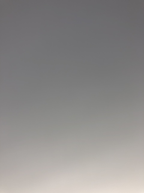 Header of veronicasann