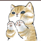 Download virtualcat OnlyFans content for free 

 profile picture