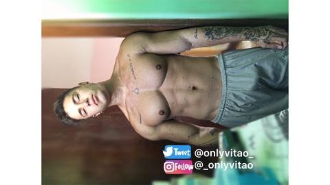 Header of vitor13