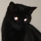 Onlyfans leaks voidqueen 

 profile picture