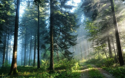 Header of volodia
