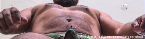 Header of wild-boar-giant