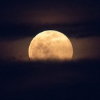 Witchiiidarrln @witchidarrln101 Leak OnlyFans 

 profile picture