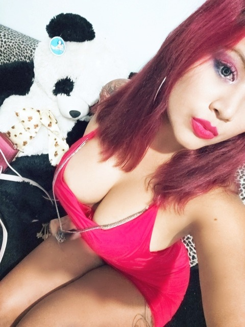 Header of xandixx