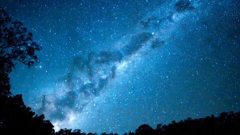 Header of xlittlexonex