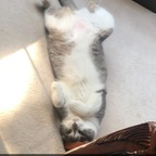 Download yaokbuddy OnlyFans content for free 

 profile picture