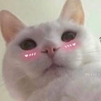 zaeann OnlyFans Leaks 

 profile picture
